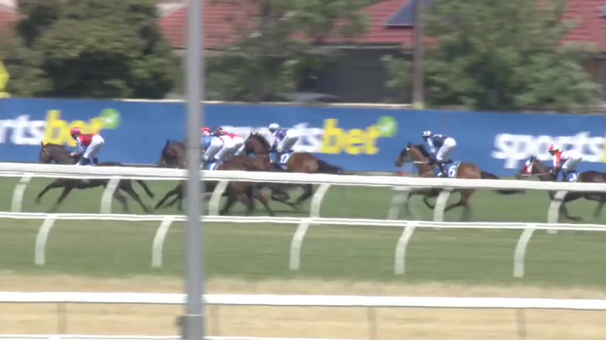 Race Replay - Race 4