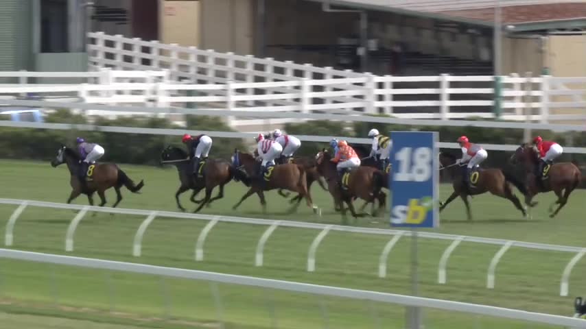 Race Replay - Race 7