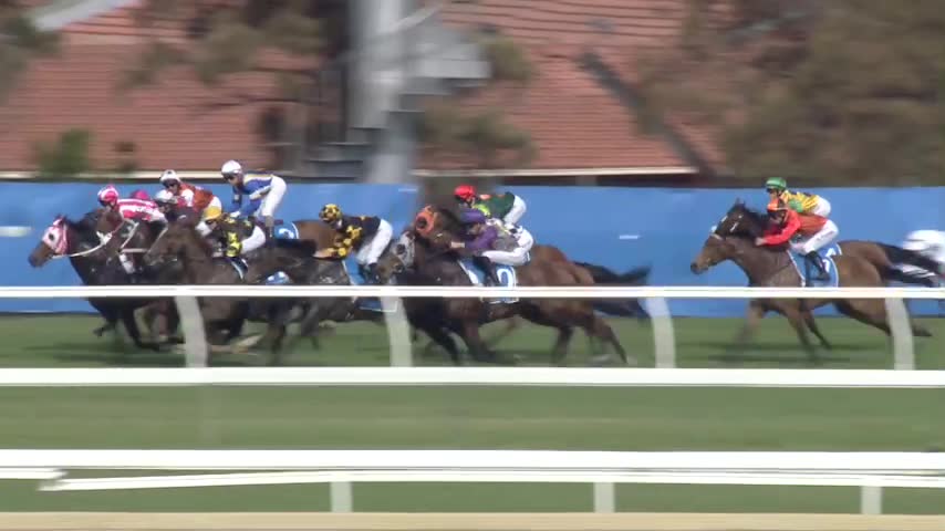 Race Replay - Race 7