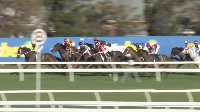 Race Replay - Race 8