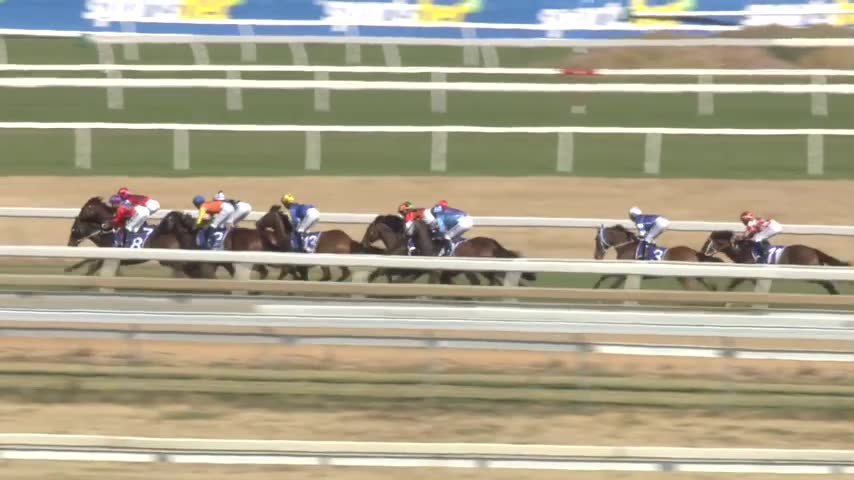 Race Replay - Race 8