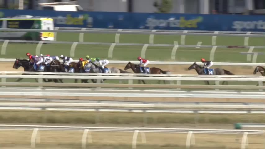 Race Replay - Race 9