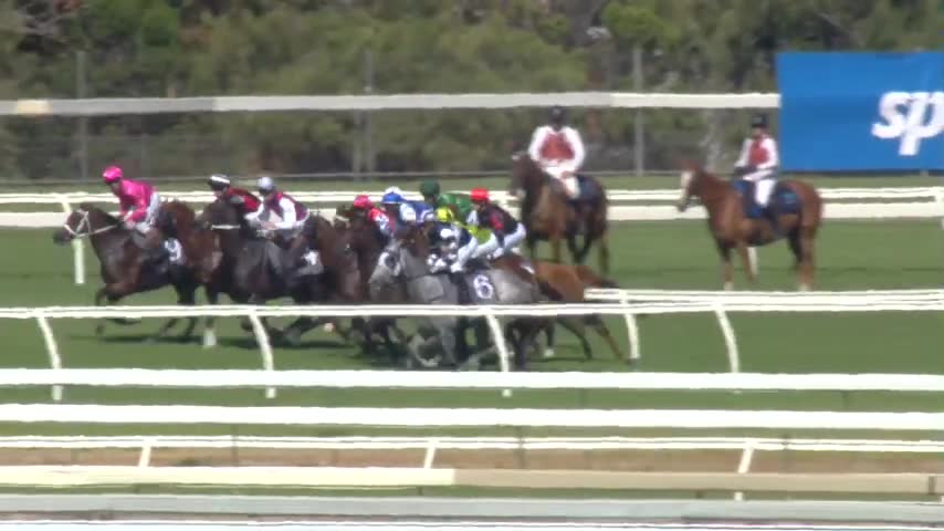 Racing SA • Supporting the Thoroughbred Horseracing Industry