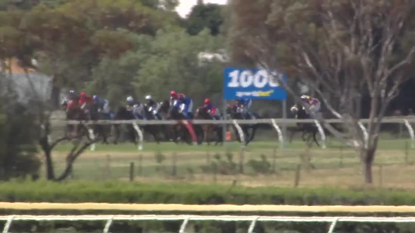 Race Replay - Race 5