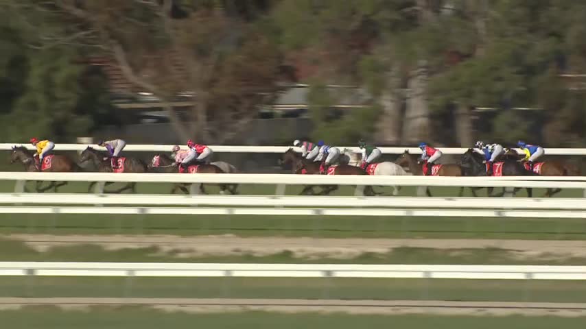 Race Replay - Race 6