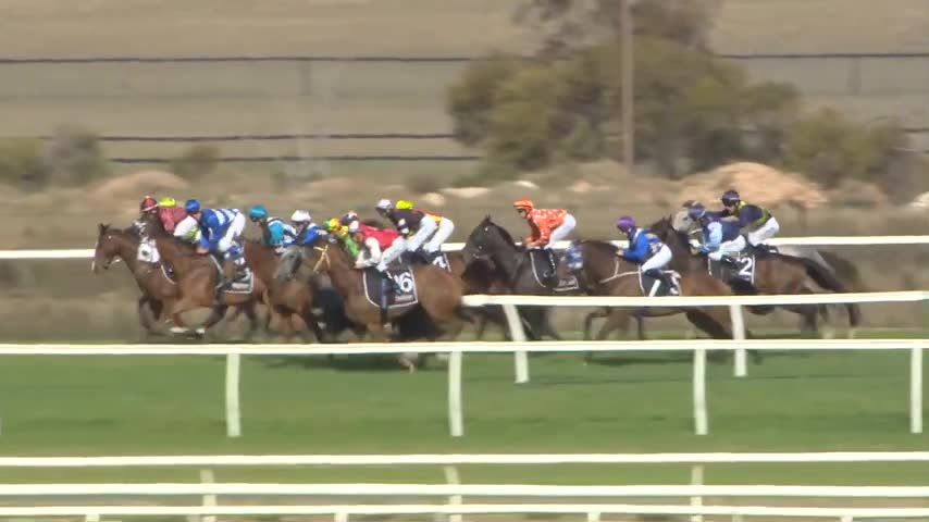 Race Replay - Race 7