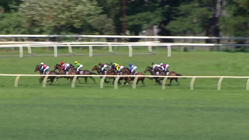 Race Replay - Race 5