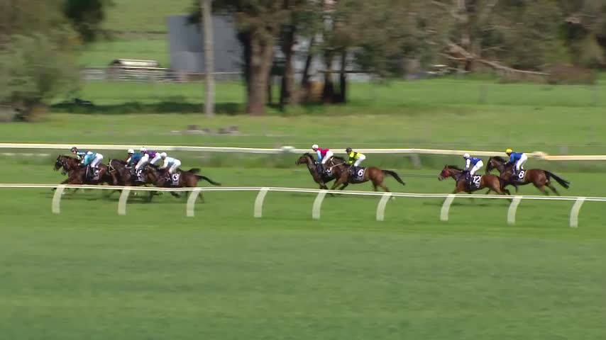 Race Replay - Race 7