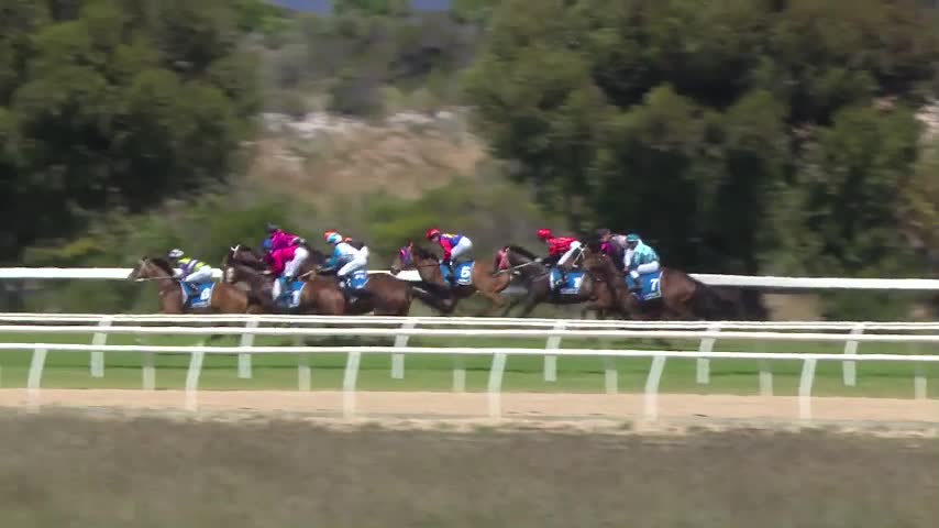 Race Replay - Race 4