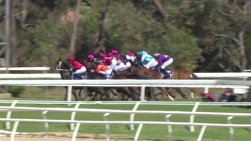 Race Replay - Race 5