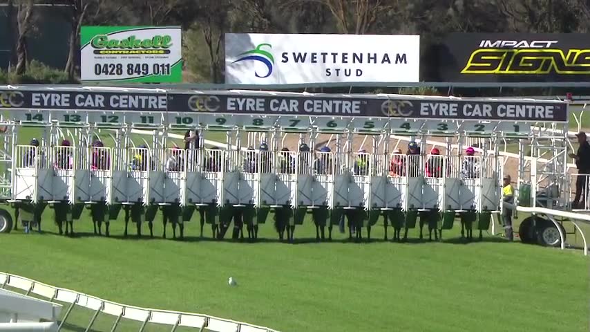 Race Replay - Race 7