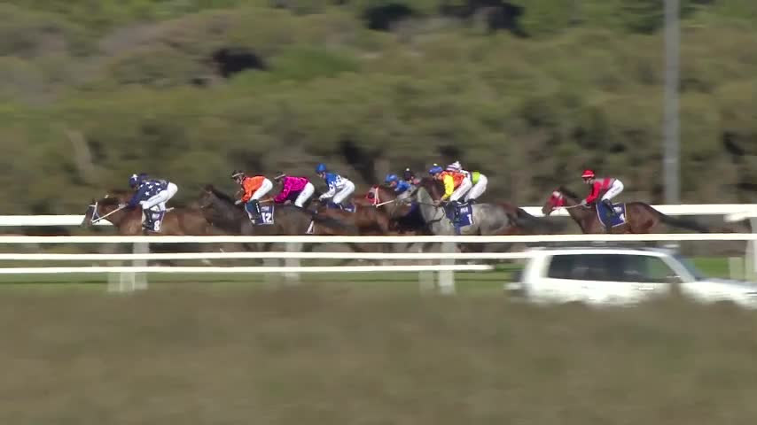 Race Replay - Race 8