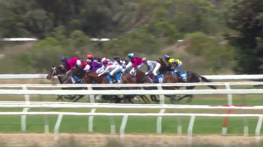 Race Replay - Race 4