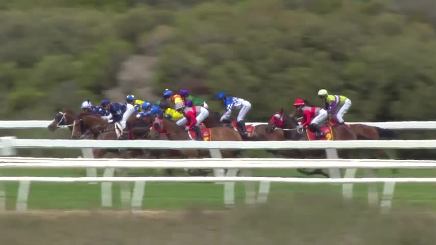 Race Replay - Race 5