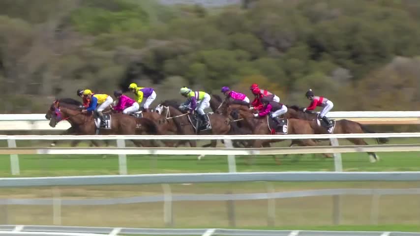 Race Replay - Race 6