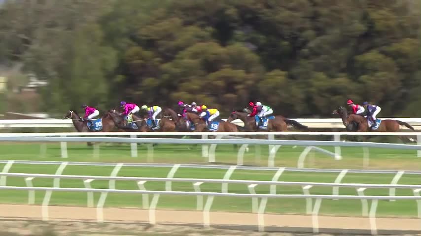 Race Replay - Race 7