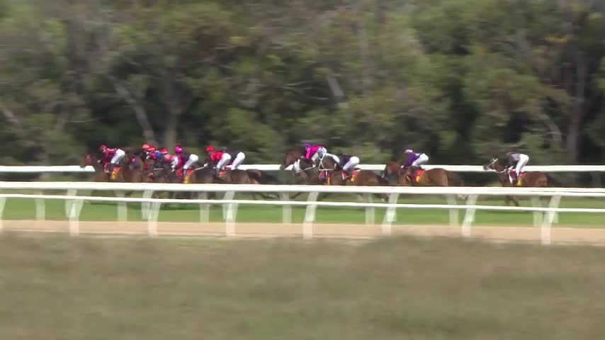 Race Replay - Race 8