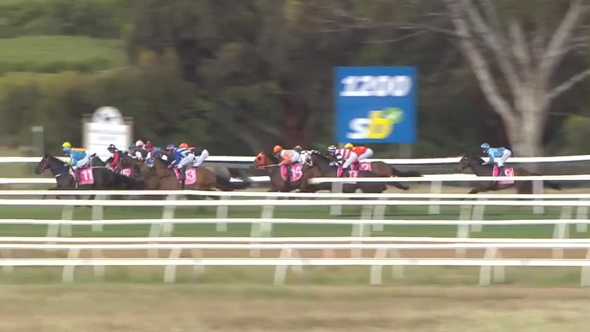 Race Replay - Race 7